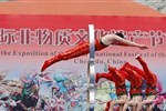 钻圈